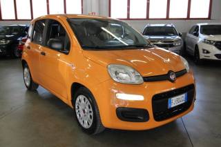 FIAT Panda usata, con Airbag Passeggero