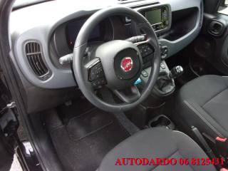 FIAT Panda usata, con Servosterzo
