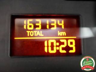 FIAT Punto usata 15