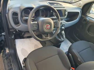 FIAT Panda Cross usata, con Controllo trazione