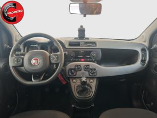FIAT Panda Cross usata, con Controllo trazione