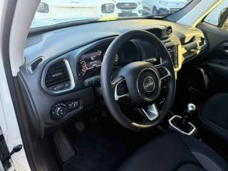 JEEP Renegade usata, con Cruise Control
