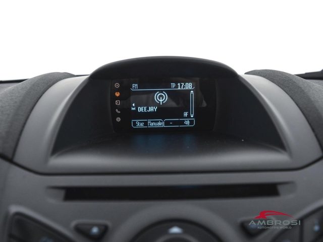 FORD Fiesta usata 13