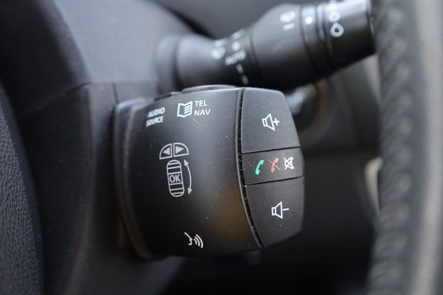 RENAULT Scenic usata, con Specchietti laterali elettrici