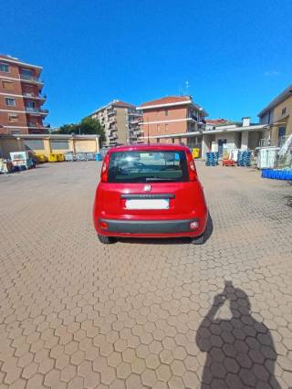 FIAT Panda usata, con Fendinebbia