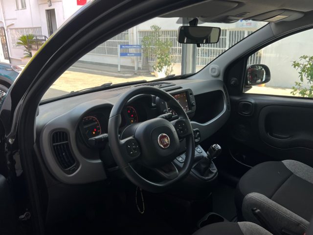 FIAT Panda usata 37