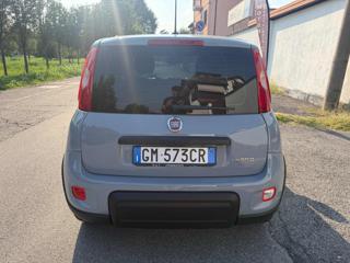 FIAT Panda usata, con Alzacristalli elettrici
