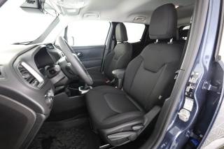 JEEP Renegade usata 3
