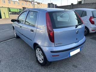 FIAT Punto usata, con Airbag Passeggero