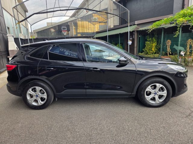 FORD Kuga usata, con Airbag Passeggero