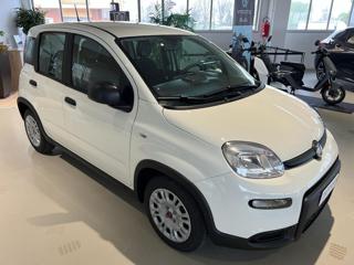 FIAT Panda usata, con Climatizzatore