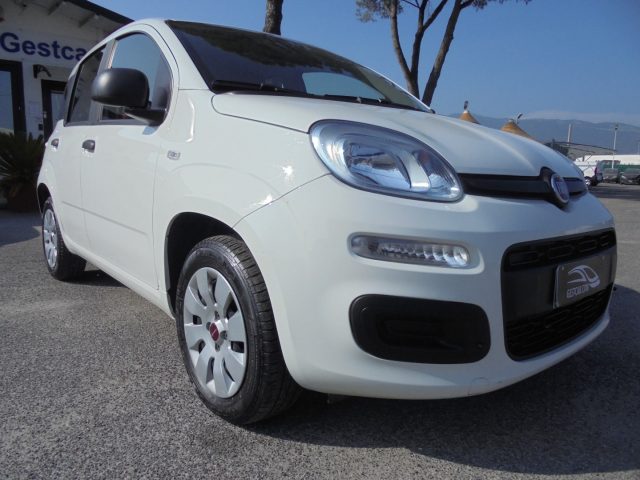 FIAT Panda usata 16