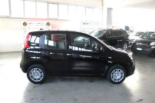 FIAT Panda usata, con Boardcomputer