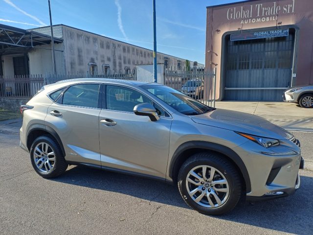LEXUS NX 300 usata, con Sedile posteriore sdoppiato