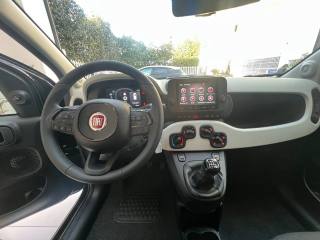 FIAT Panda usata, con Lettore CD