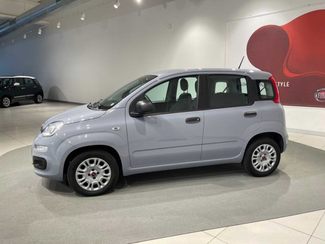 FIAT Panda usata, con ESP