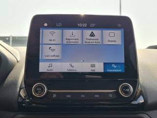 FORD EcoSport usata, con Cronologia tagliandi