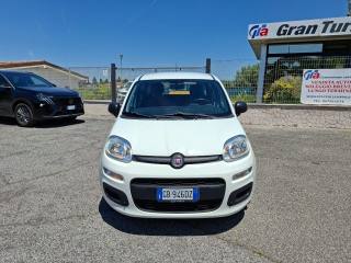 FIAT Panda usata 1