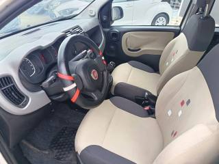 FIAT Panda usata 8