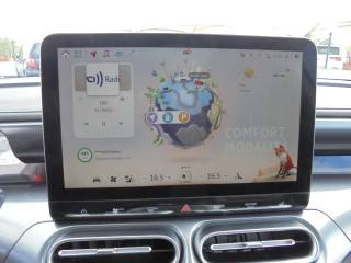 SMART Smart usata 36