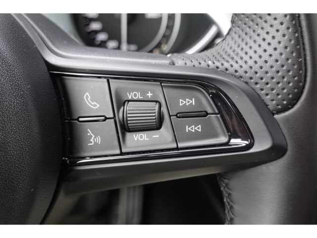 ALFA ROMEO Stelvio usata, con Cruise Control