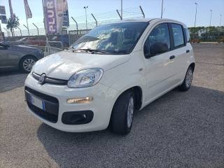 FIAT Panda usata, con Airbag Passeggero