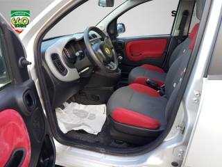 FIAT Panda usata 14