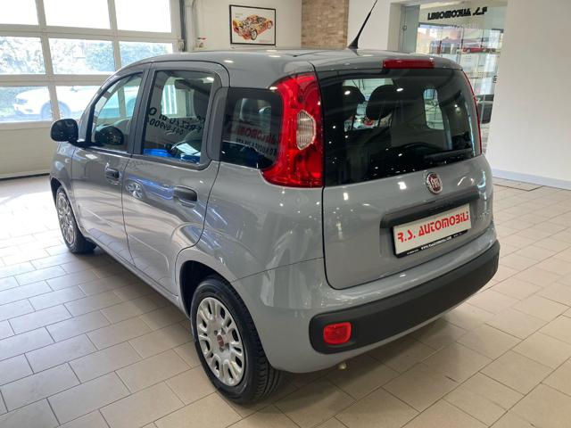 FIAT Panda usata, con Alzacristalli elettrici
