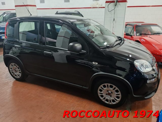 FIAT Panda usata, con Alzacristalli elettrici