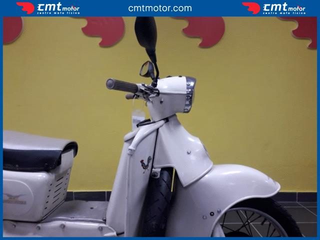 MOTO GUZZI Galletto 192 usata 8