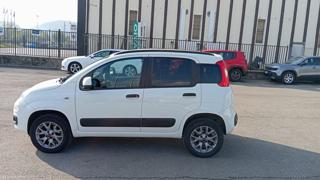 FIAT Panda usata, con Bluetooth