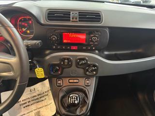 FIAT Panda usata 8