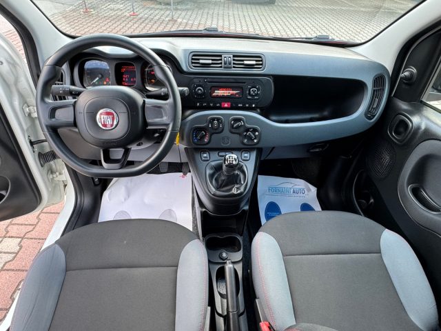 FIAT New Panda usata, con Fendinebbia