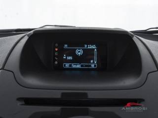 FORD EcoSport usata 13