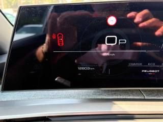 PEUGEOT 3008 usata, con Controllo automatico clima
