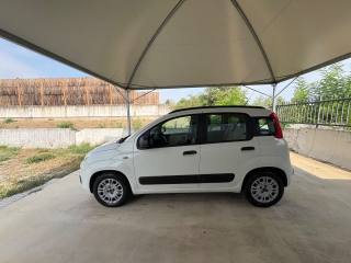 FIAT Panda usata, con Cerchi in lega