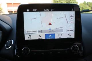 FORD EcoSport usata, con Servosterzo