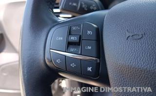 FORD Focus usata, con Controllo trazione