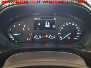 FORD Fiesta usata, con Boardcomputer