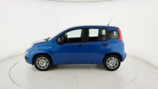 FIAT Pandina usata, con Airbag Passeggero