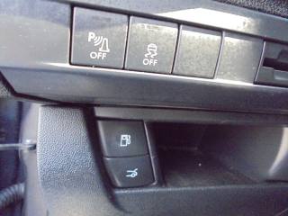 DS AUTOMOBILES DS 5 usata 38