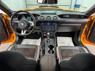 FORD Mustang usata, con Fendinebbia