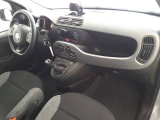FIAT Panda usata, con ESP