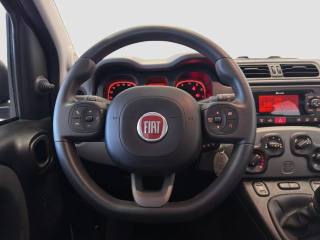 FIAT Panda usata 11