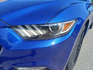 FORD Mustang usata, con Sedili sportivi