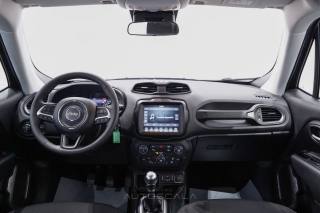 JEEP Renegade usata, con Airbag testa