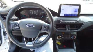 FORD Focus usata, con Servosterzo