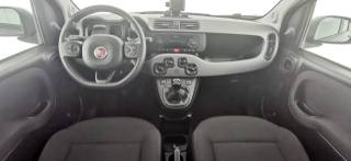 FIAT Panda usata, con Cronologia tagliandi