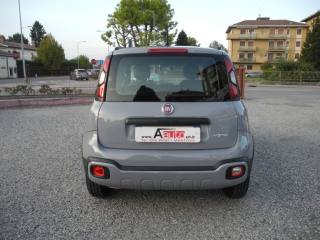 FIAT Panda Cross usata 69