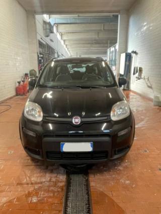 FIAT Panda usata, con Servosterzo